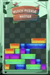 BlockPuzzleMaster